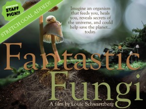 fantastic fungi